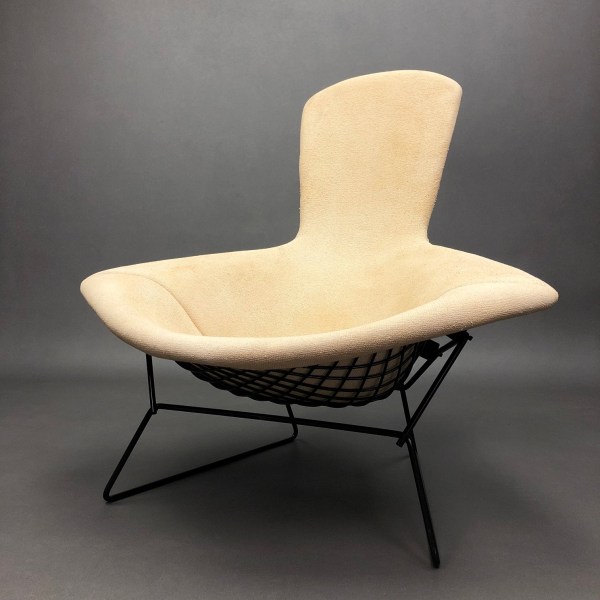 Linea Due Fauteuil Bird Harry Bertoia Knoll Première Serie