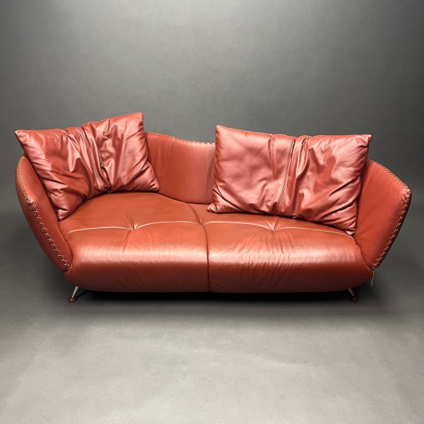 Linea Due Canapé De Sede Cuir Living Cherry DS-102