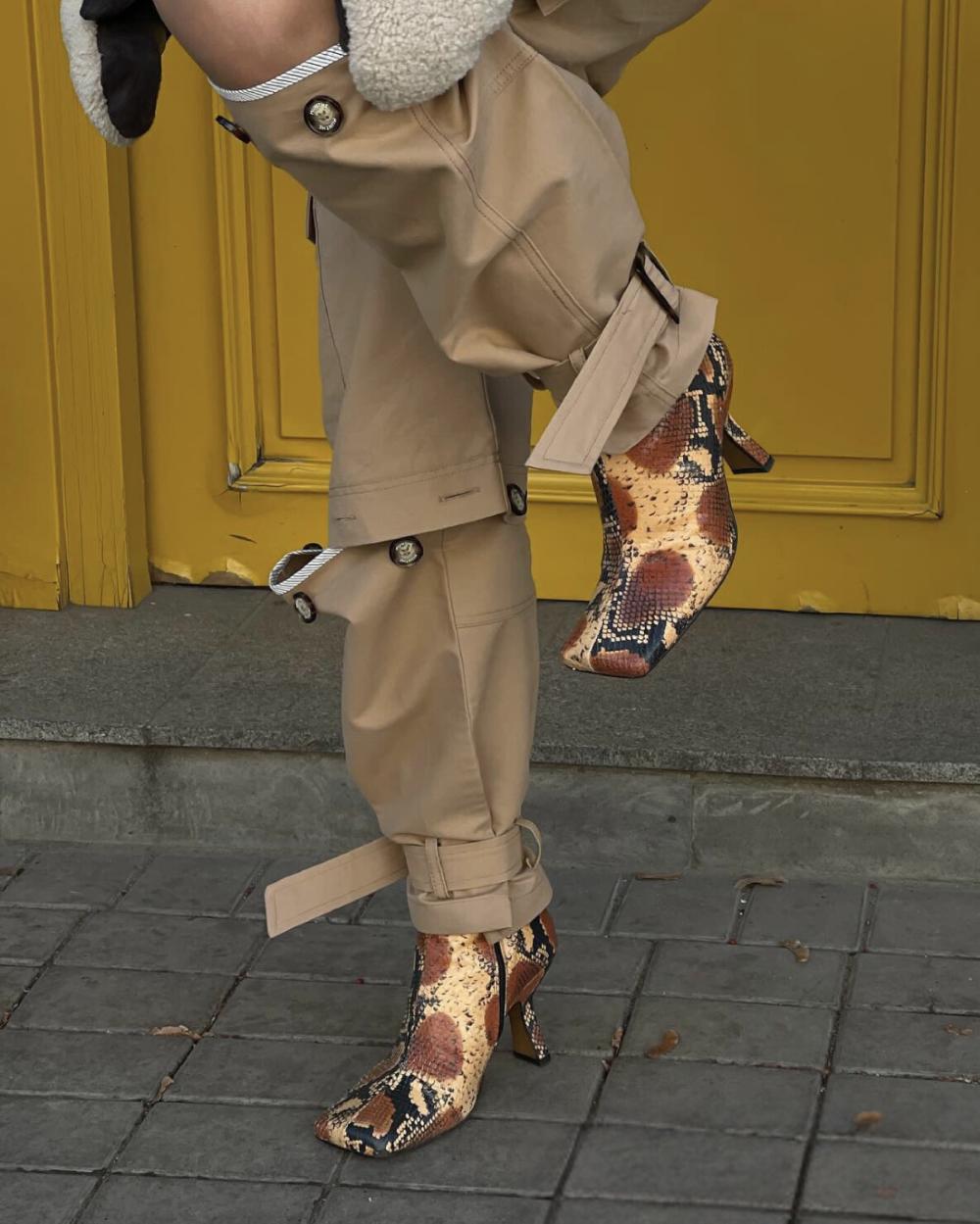 L'intervalle Argyle Honey Multi-couleurs Serpent Imprimé Animal