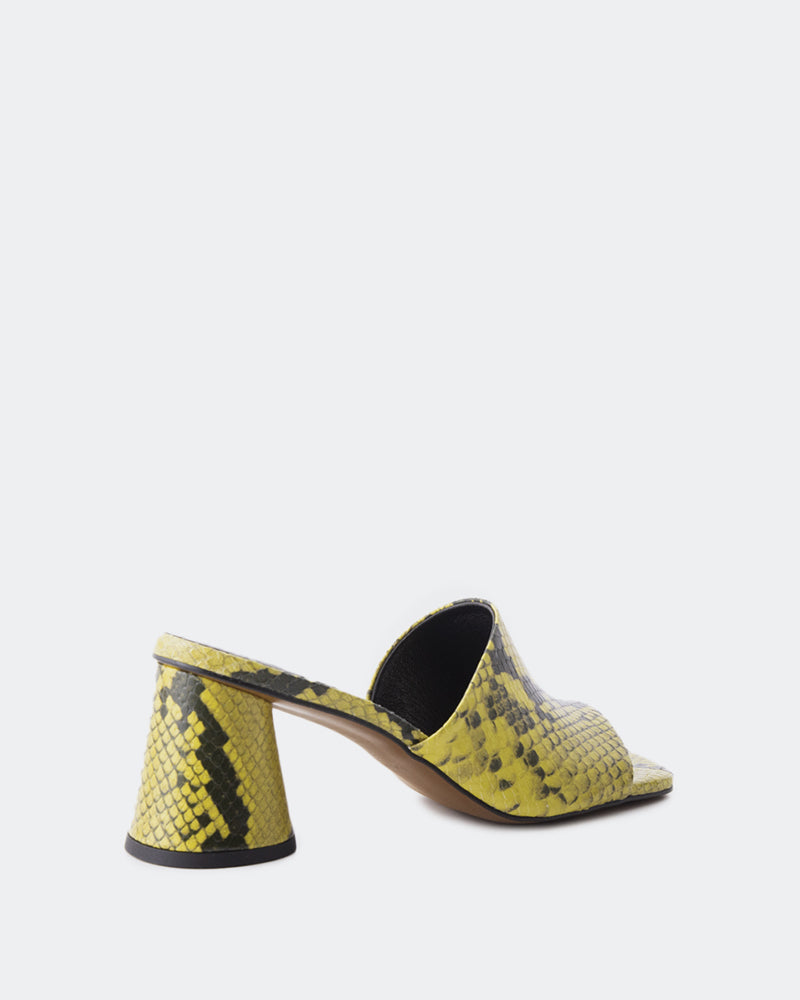 L'intervalle Alyki Lime Snake Vert