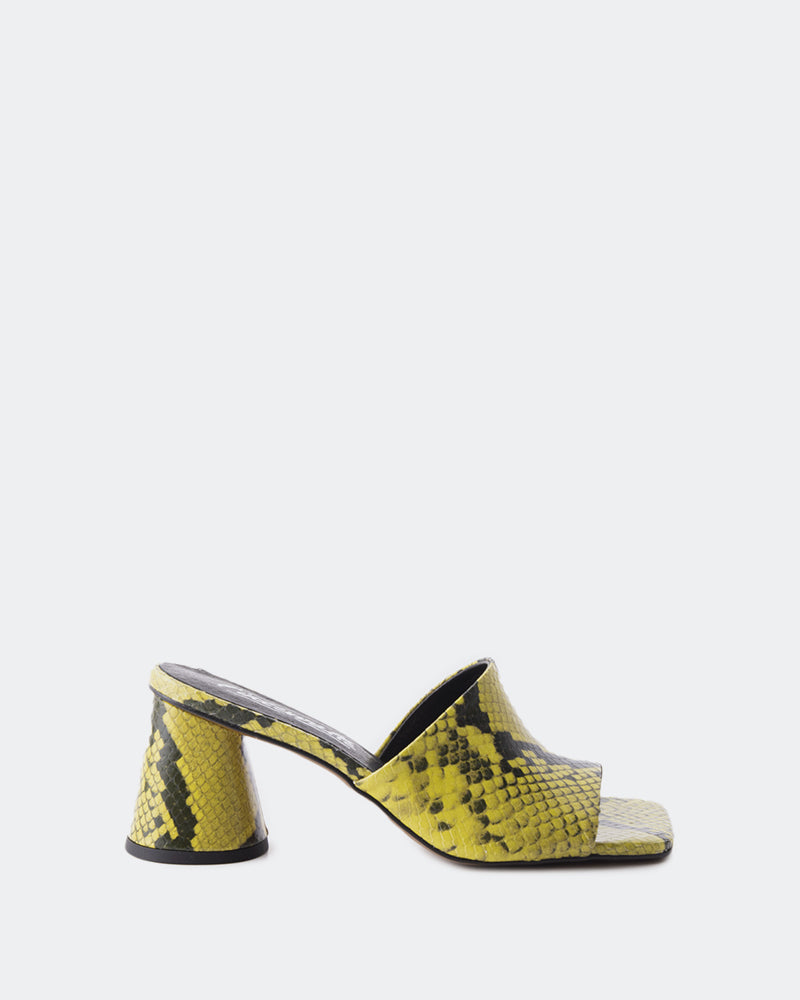 l'intervalle Alyki Lime Snake Vert