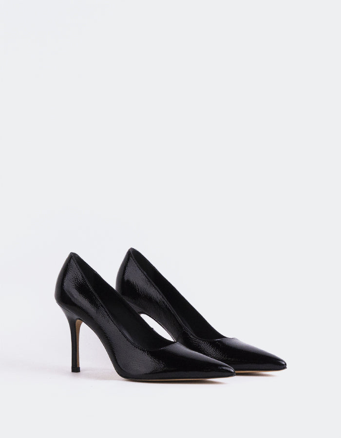 L'intervalle Gazania Noir Naplack Noir