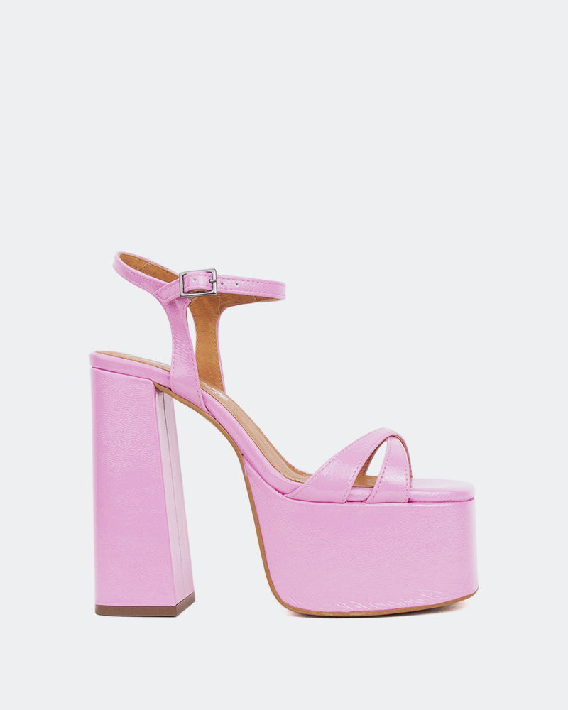 L'intervalle Ives Rose Naplack Rose