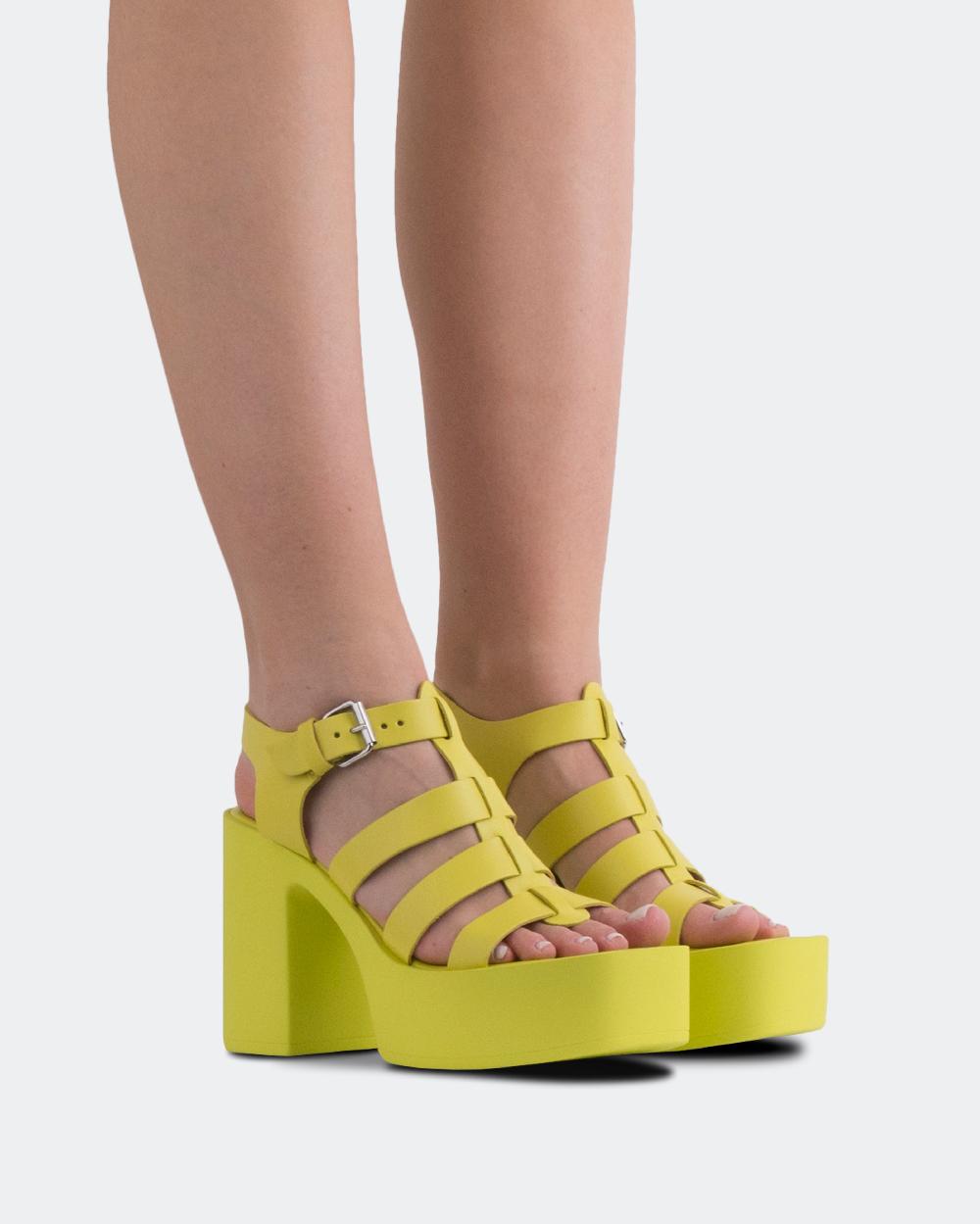 L'intervalle Loup Jaune Cuir Jaune