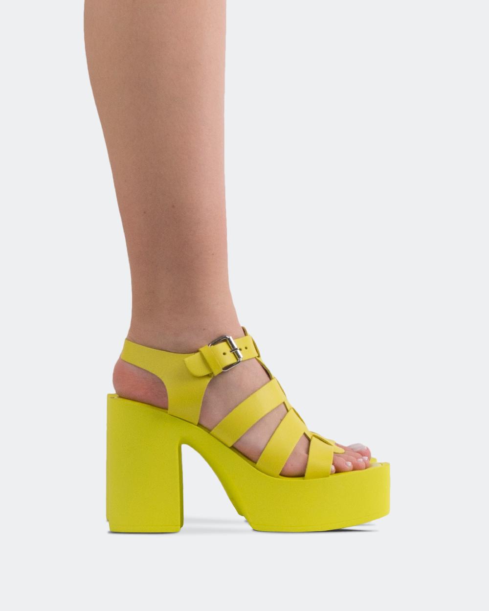 l'intervalle Loup Jaune Cuir Jaune