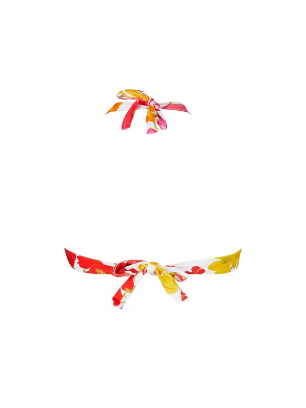 Lise Charmel ENVOLEE FLORALESoutien-gorge Triangle