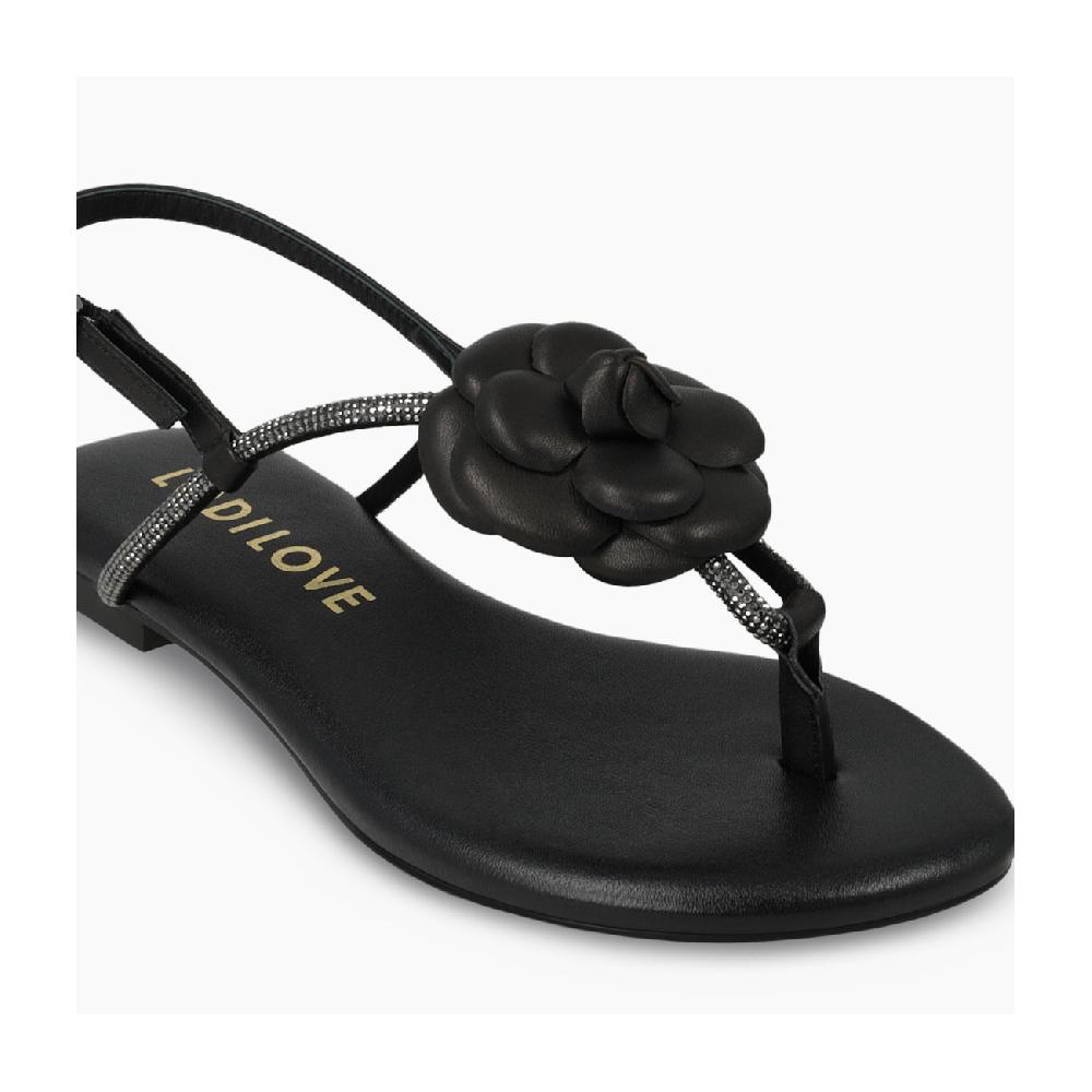 Lodi SANDALES NOIRES BR5500