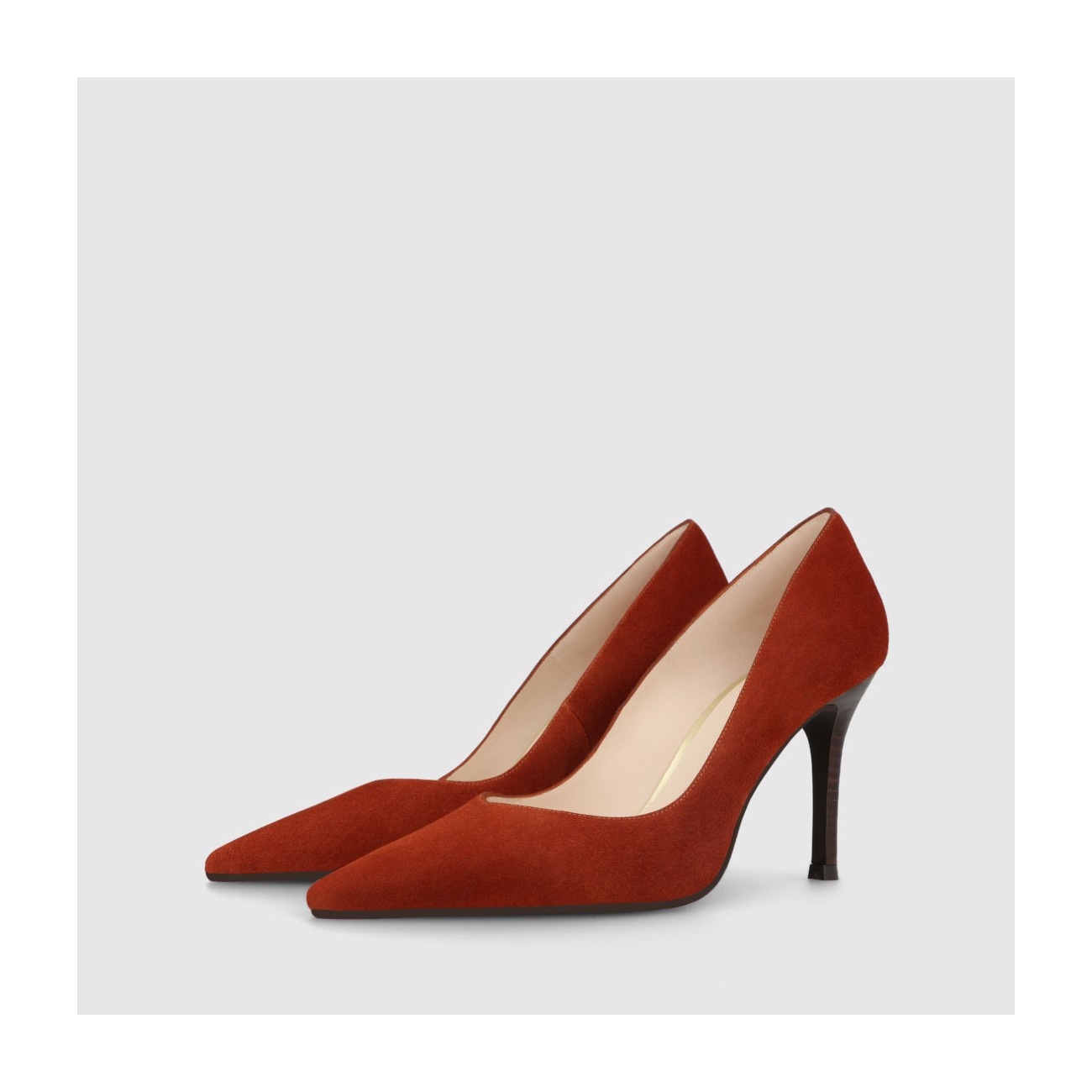 Lodi SINTEL-XGO BISCUIT