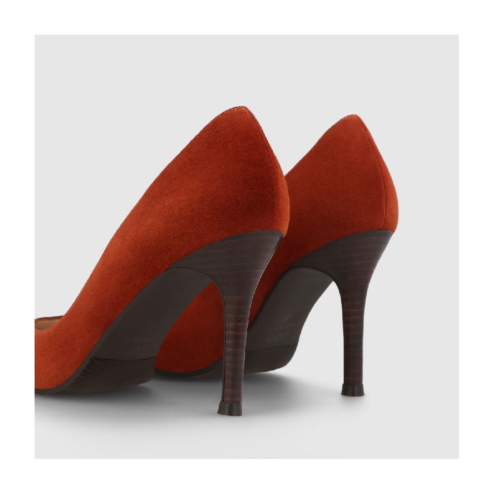 Lodi SINTEL-XGO BISCUIT