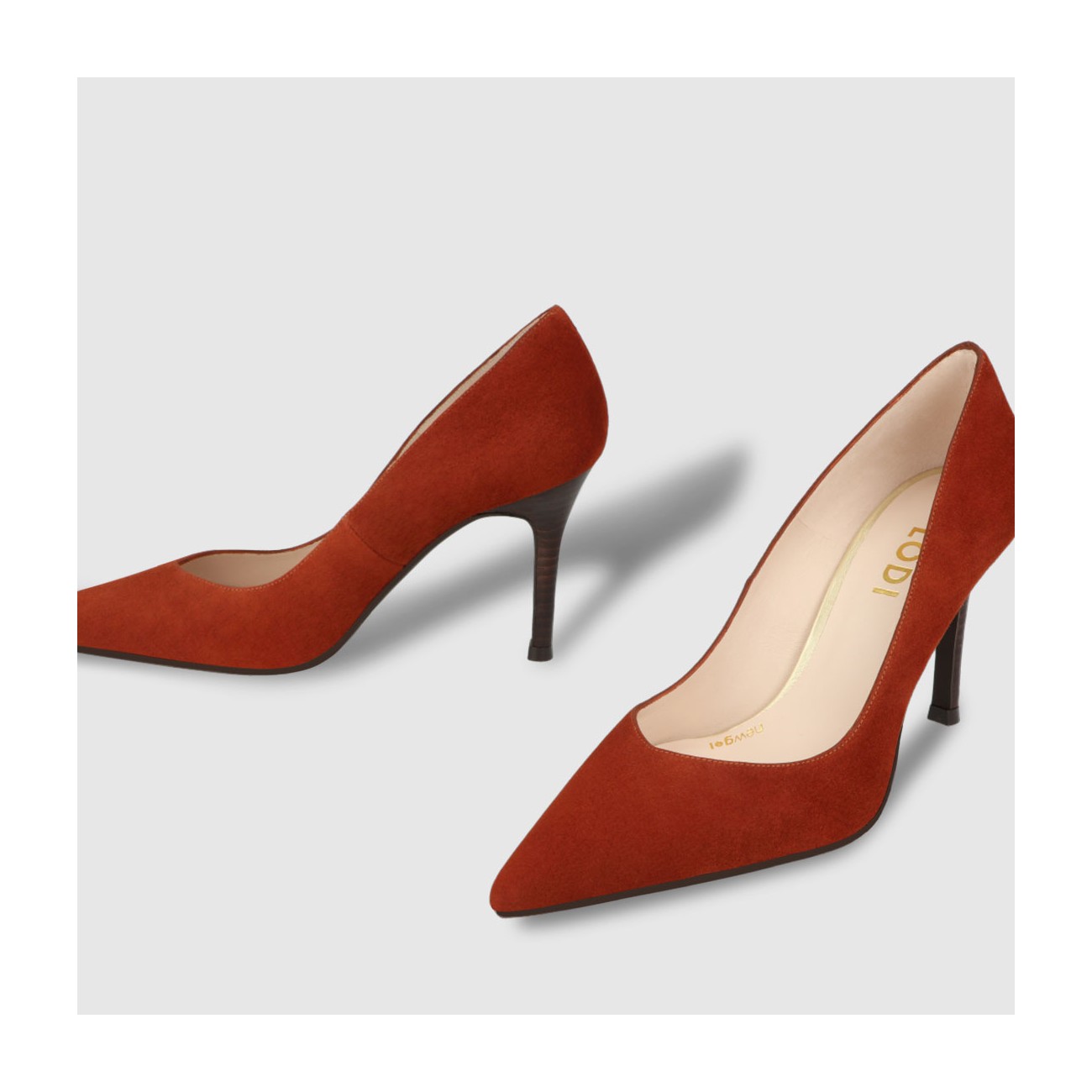 Lodi SINTEL-XGO BISCUIT