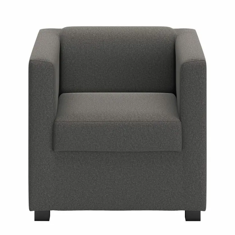 Loftscape Loftscape Fauteuil Wilno XI – Tissage à Plat – Gris Foncé