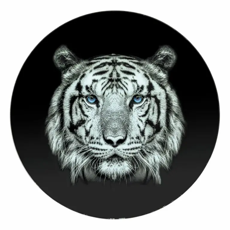 Loftscape Red Living Bout De Canapé Stajk II – Verre / Acier – Noir