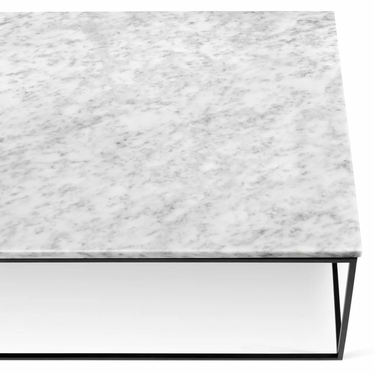 Loftscape Temahome Table Basse Gleam I – Marbre / Métal – Blanc / Noir – Largeur : 120 Cm