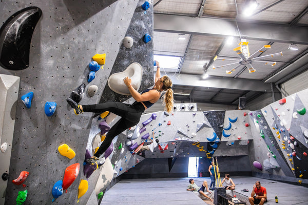 Looking For Wild Legging Fubuki - Black