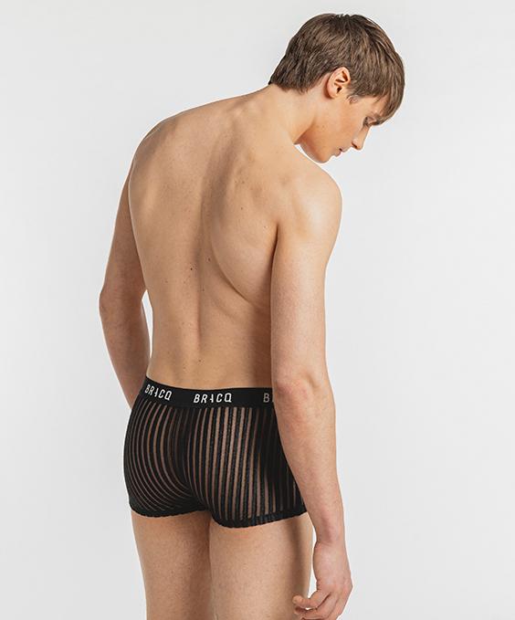 Louisa Bracq AMBER LINE - Boxer Court