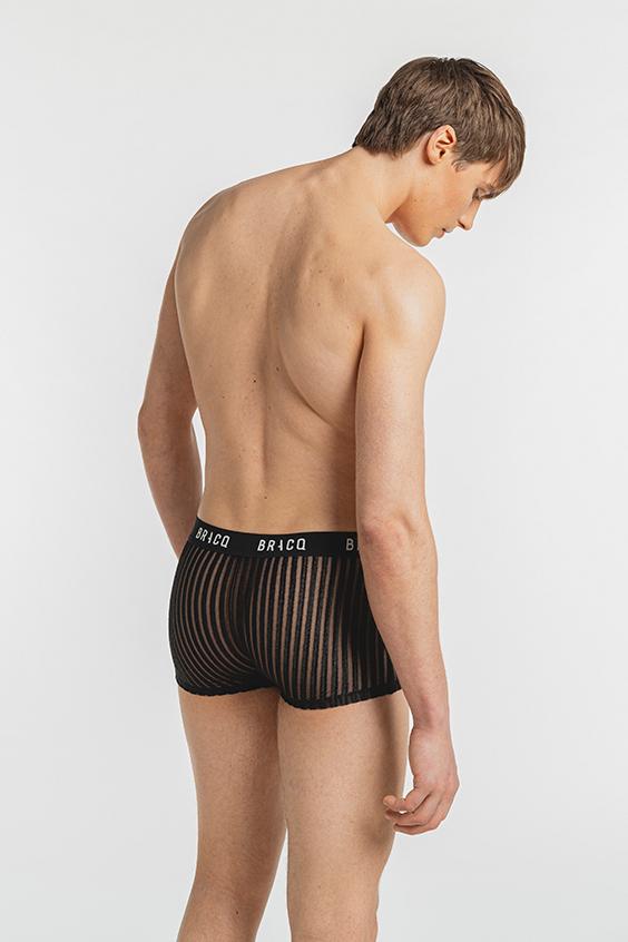 Louisa Bracq AMBER LINE - Boxer Court