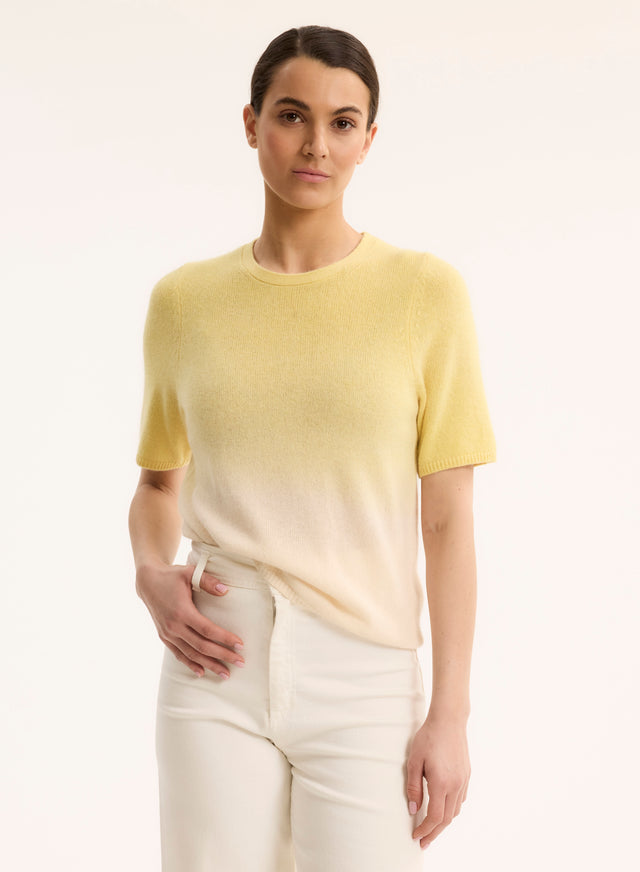 Majestic Filatures Pull Jaune Col Rond Manches Courtes En Raccoon / Polyamide Raccoon / Polyamide