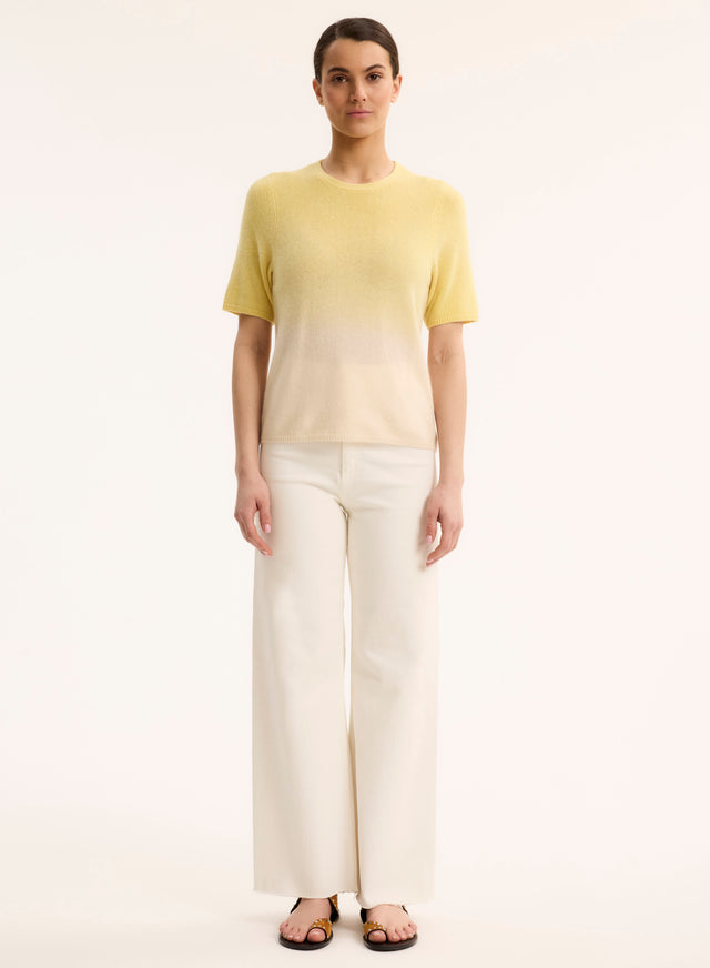 Majestic Filatures Pull Jaune Col Rond Manches Courtes En Raccoon / Polyamide Raccoon / Polyamide