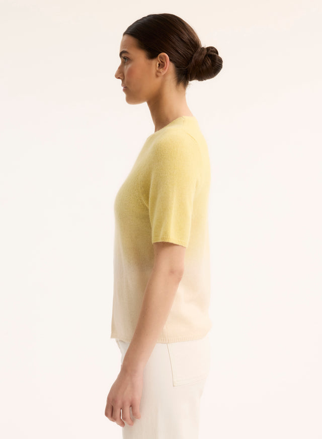 Majestic Filatures Pull Jaune Col Rond Manches Courtes En Raccoon / Polyamide Raccoon / Polyamide