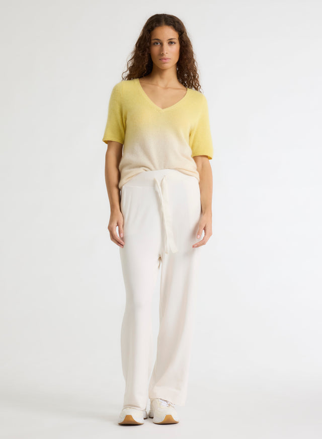 Majestic Filatures Pull Jaune Col V Manches Courtes En Raccoon / Polyamide Raccoon / Polyamide