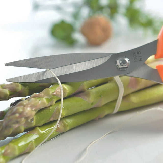 Mastra Ciseaux De Cuisine - Casse-noix
