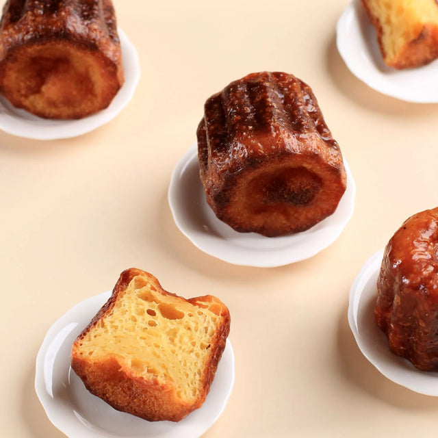 Mastra Moule à Cannelés