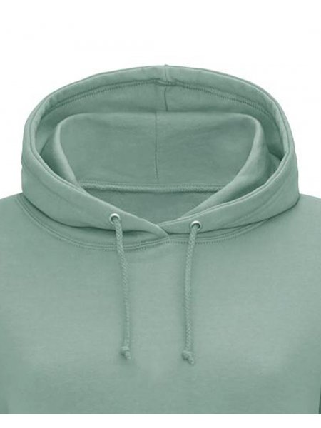 Mister Tee Sweat Cintré à Capuche Pas Cher Personnalisable AWDis - JH001F