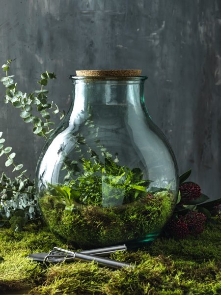 Mister Tee Terrarium En Verre Recyclé à Personnaliser 11325601
