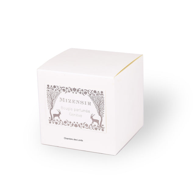 Mizensir Chambre Des Lords