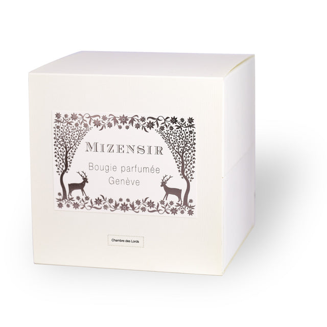 Mizensir Chambre Des Lords