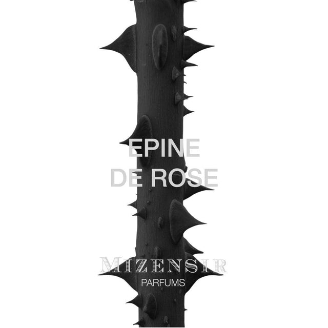 Mizensir EPINE DE ROSE