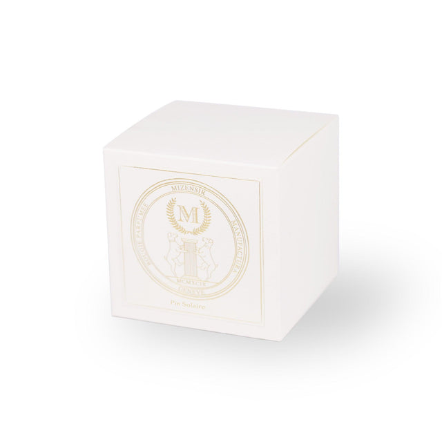 Mizensir Pin Solaire