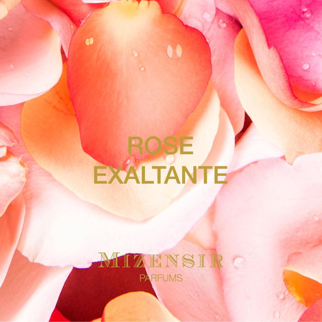 Mizensir ROSE EXALTANTE
