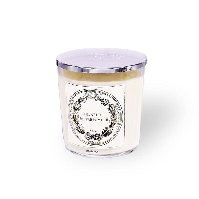 mizensir Trèfle Sauvage