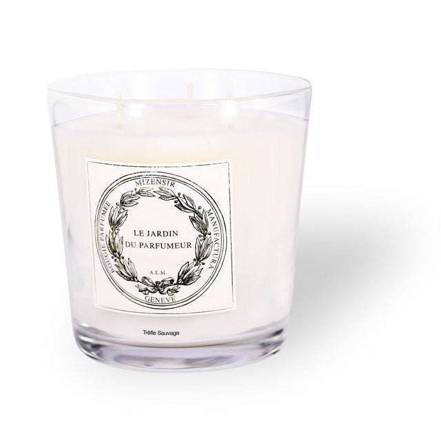 mizensir Trèfle Sauvage