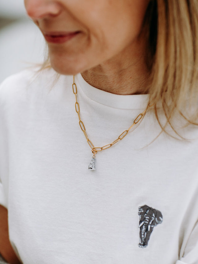 Nach Bijoux Charm's Panthère Des Neiges - Les Protégés