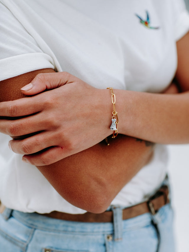 Nach Bijoux Charm's Panthère Des Neiges - Les Protégés