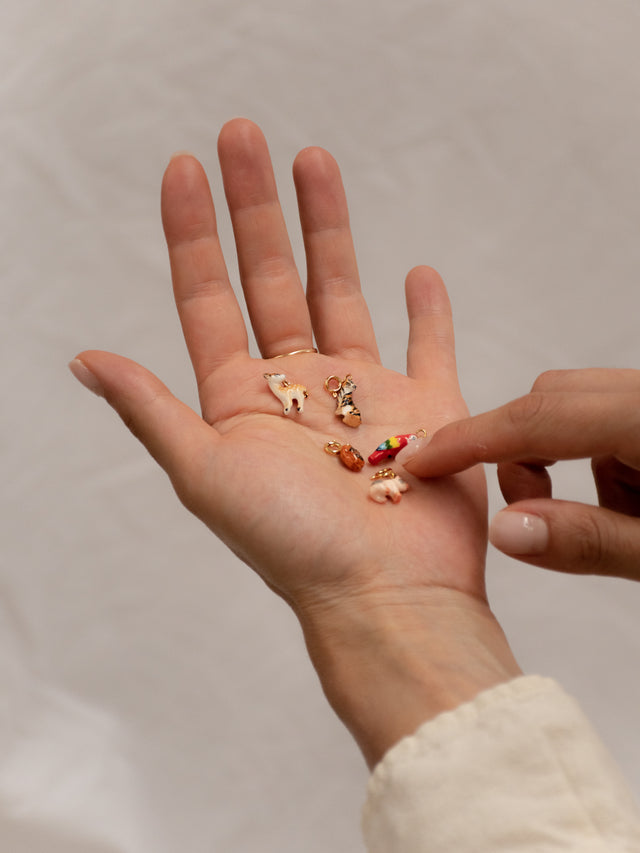 Nach Bijoux Charm's Ara Juan - Nach X La Tanière