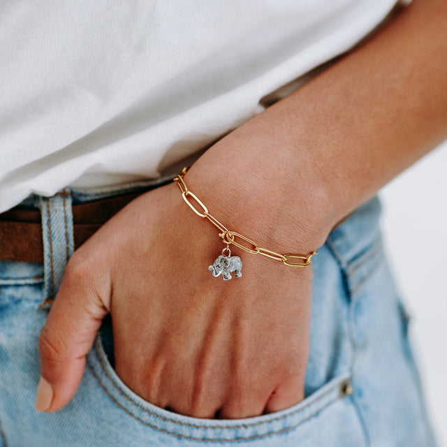 Nach Bijoux Charm's éléphant - Les Protégés