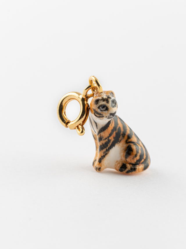 Nach Bijoux Charm's Tigre Pam - Nach X La Tanière