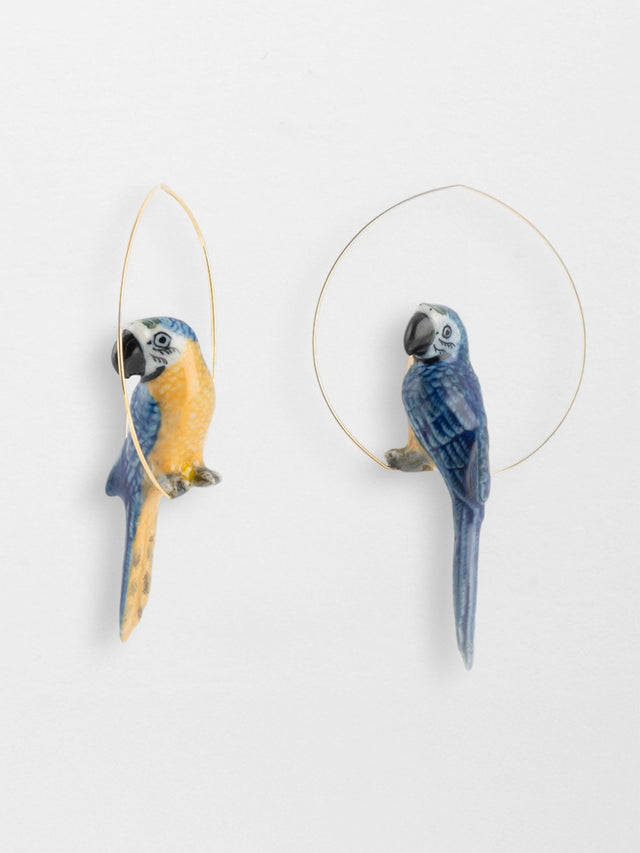nach bijoux Créoles perroquet bleu