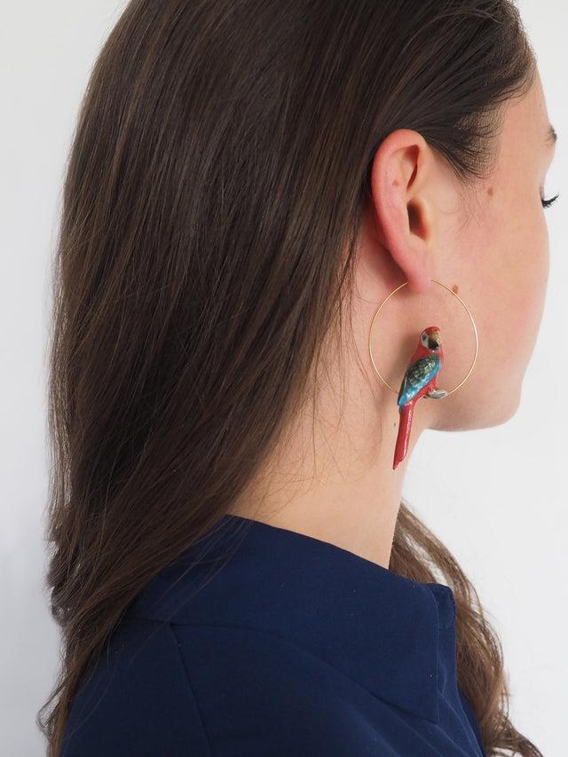 Nach Bijoux Créoles Perroquet Rouge