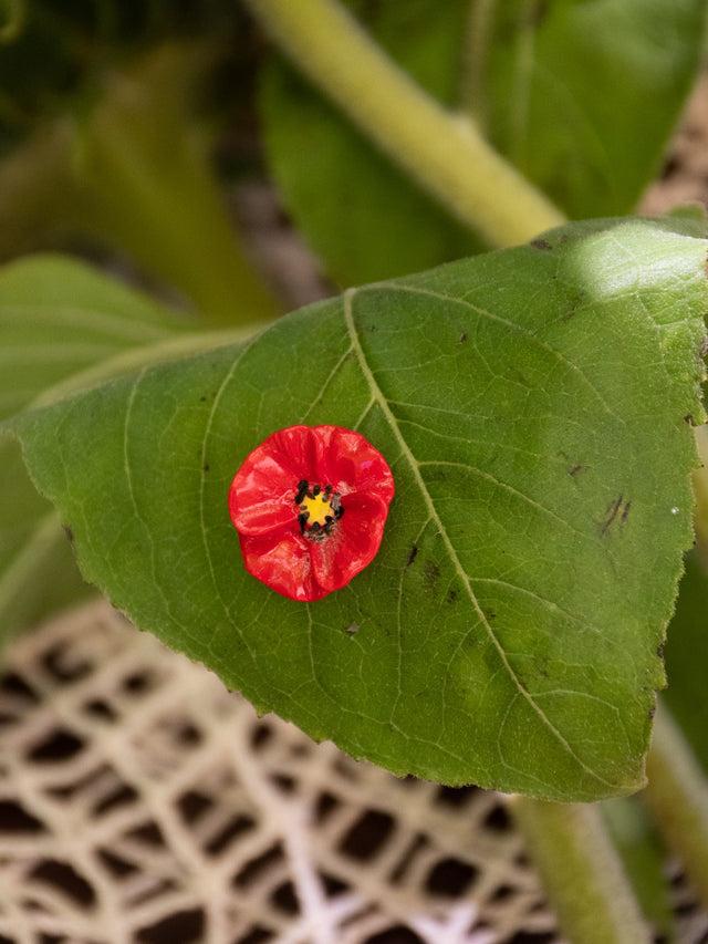 Nach Bijoux Pin's Coquelicot