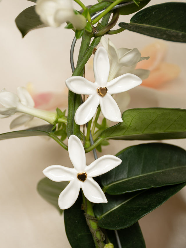 Nach Bijoux Puces D'oreilles Jasmin - Jasmin Et Moi