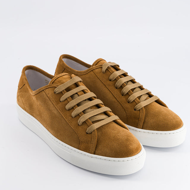 National Standard Sneakers Basses En Cuir Veau Velours Marron
