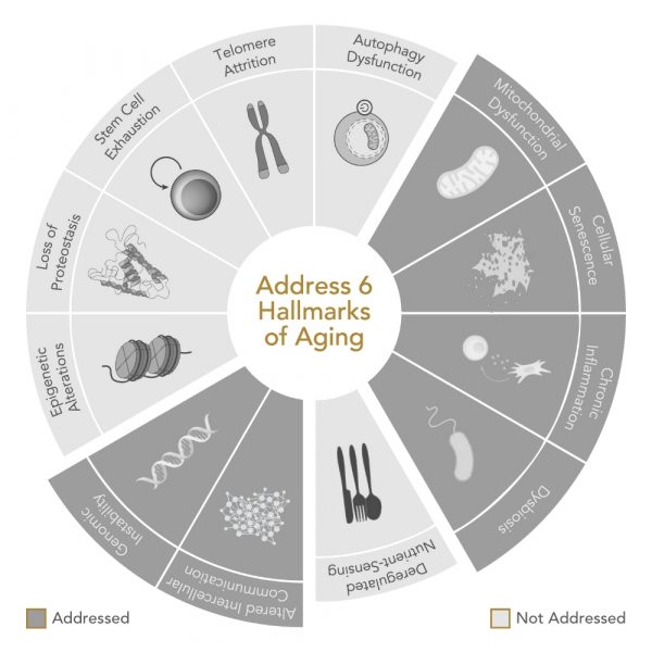 Niance GENR8® BIOTIC Compléments Nutritionnels CLEANSE