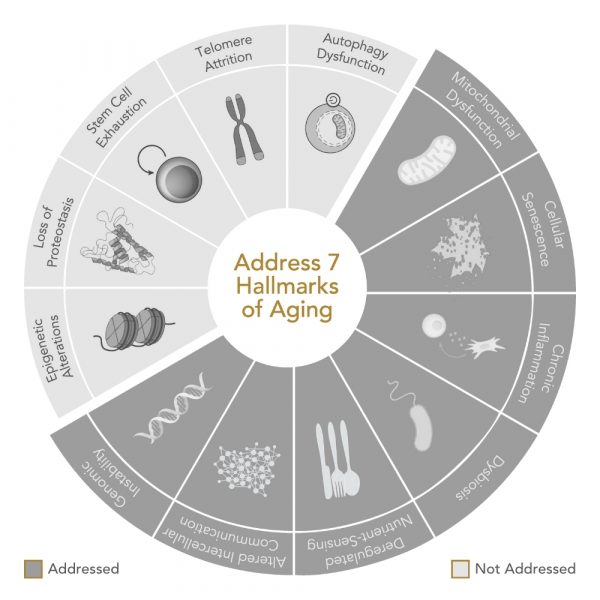 Niance GENR8® BIOTIC Compléments Nutritionnels VITALITÉ