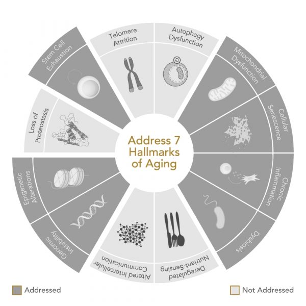 Niance GENR8® BIOTIC Suppléments Nutritionnels SOMMEIL