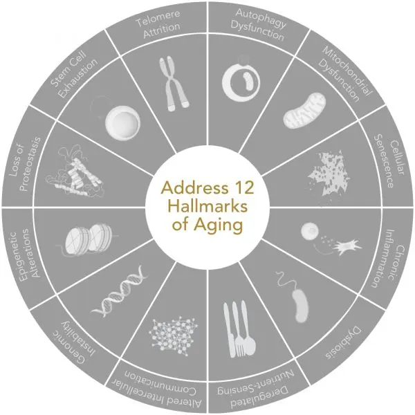 Niance Booster De Beauté Collagène-Hyaluron