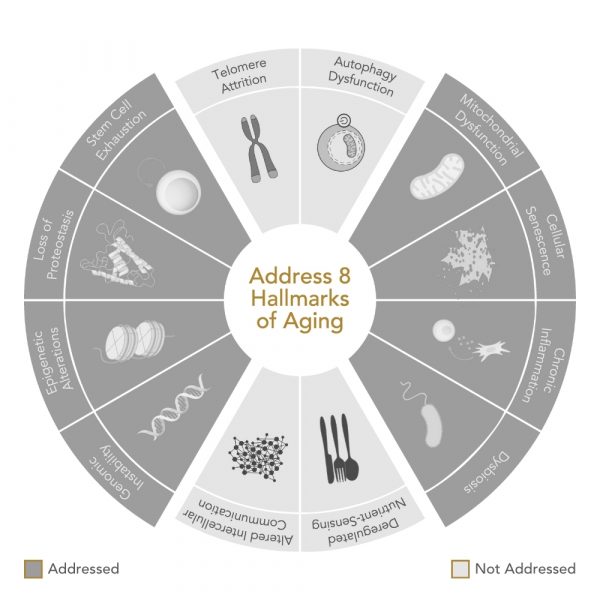Niance Sérum Anti-taches RADIANT